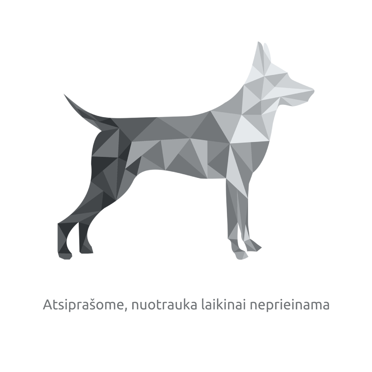 Higiena ir Priežiūra